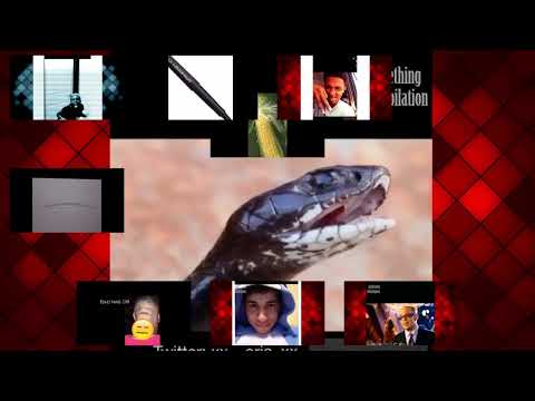 Look at This Dude Compilation - Sparta Venom TSS Remaster Remix