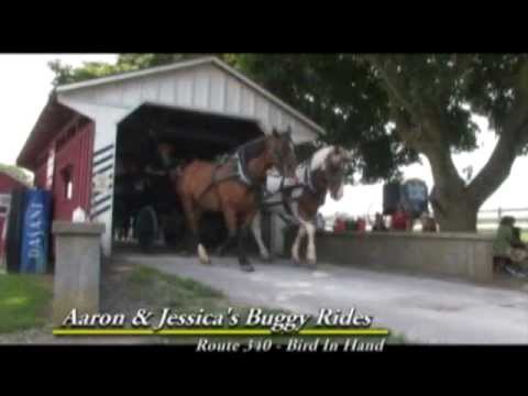 aaron & jessica's buggy rides