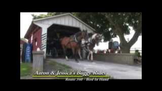 Aaron Jessica s Buggy Rides