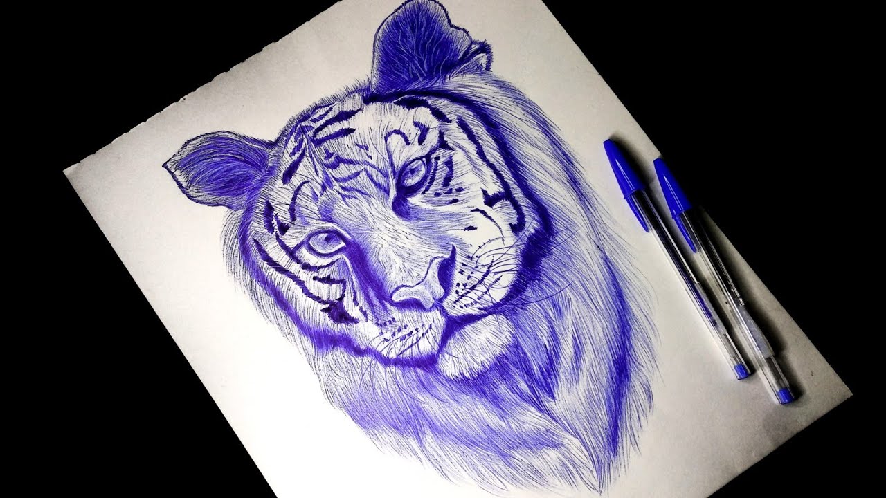 Blue Tiger Drawing Tutorial How To Draw Realistic Blue Tiger