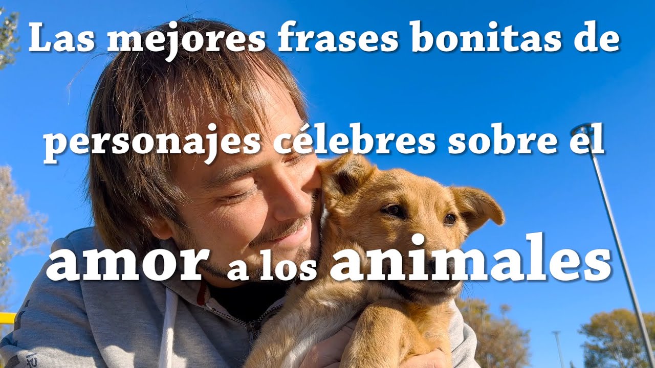 Las mejores frases bonitas de personajes célebres sobre el amor a los  animales - YouTube