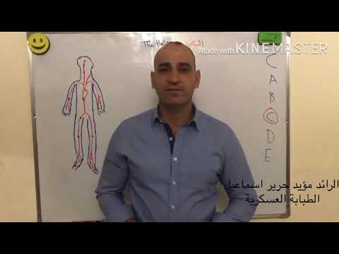 تدريب عملي عن قياس النبض  