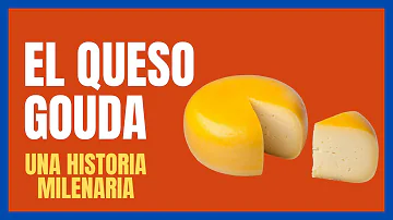 ¿Tiene caseína el queso Gouda?