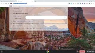 unblocking chrome web store on chromebook *and getting leaf browser!