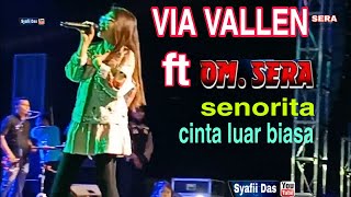 VIA VALLEN 👍🎧 OM SERA live in grebek Demak 2019