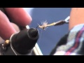Fly Fishing Post　"flytying"《Mr. Takahashi 2 コンパラダン》フライフィッシング