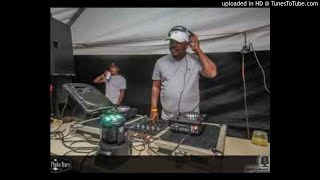 Dzo  stay away main 729 mix