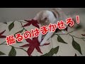 【How To 動画】 マットレスカバーの穴の作り方　スコ猫きなこ