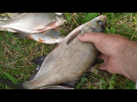 испытание новой снасти