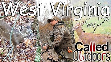 Hunting the West Virginia Rut! | Self-Filmed Bow Hunt 2025!