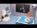 Hamster escapes the awesome 5star luxury prison maze with bathtub for pets in real life