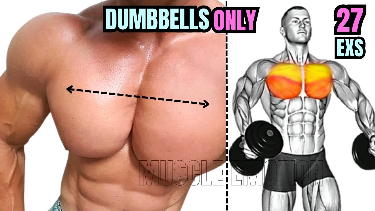 TOP 27 CHEST WORKOUT WITH DUMBBELLS ONLY AT HOME or GYM / Meilleurs exs Musculation poitrine .