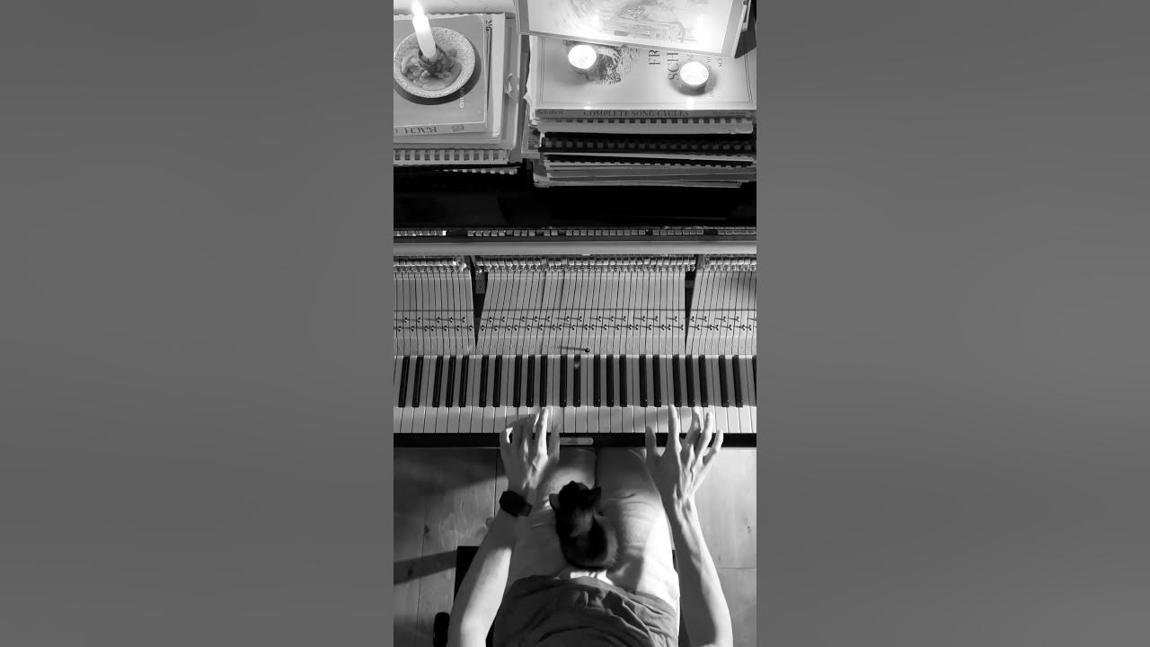 Kiko enjoys while I play my new song βΊοΈπββ¬ -π΅ Sunlight - listen to it on your favorite platform π€ Kiko enjoys while I play my new song βΊοΈπββ¬ -π΅ Sunlight - listen to it on your favorite platform π€