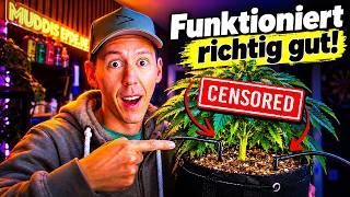 Never water your plants yourself again? The relief with RainPoint?