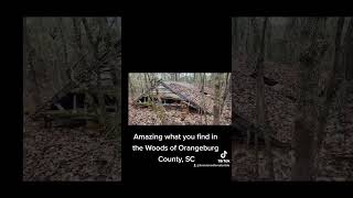 Scouting land in the Woods of Orangeburg County SC