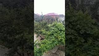 Əsir Payız Küləyi