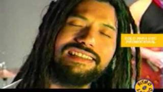 Gondwana Felicidad chords