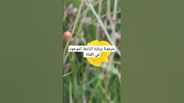 القرآن الكريم بصوت جميل #لايك #قرآن #الحياه #اكسبلور #قران_كريم #المصحف #ترند #قرانكريم #تيك_توك