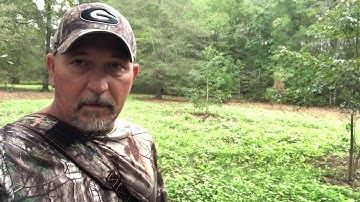 Hunting Update and Timelaspe