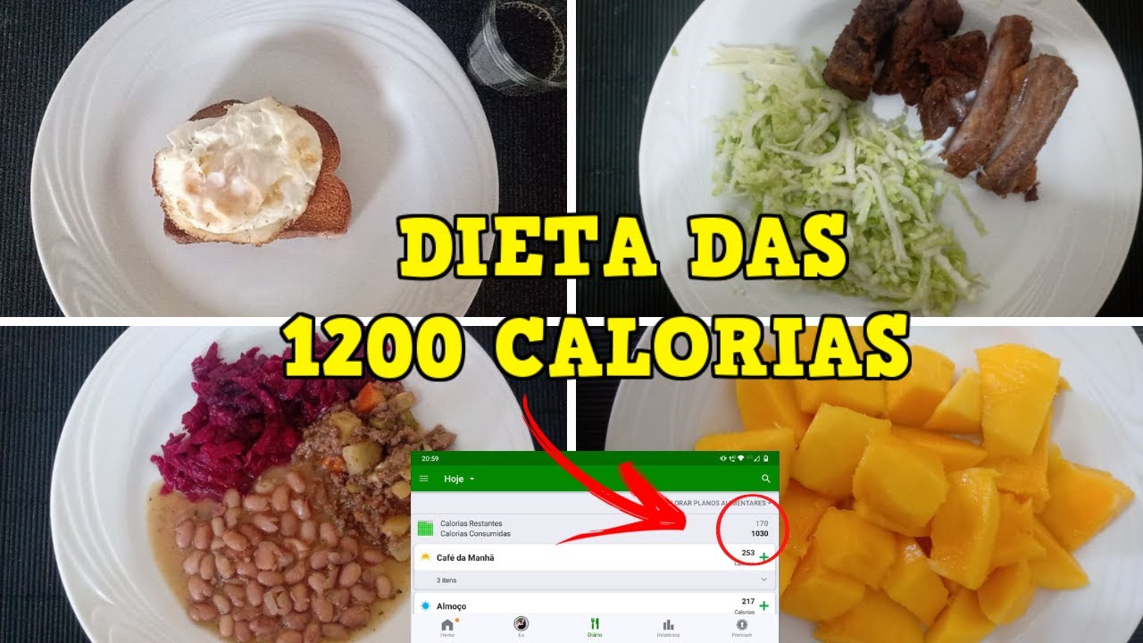 DIÁRIO DA DIETA - Comecei a dieta de 1200 calorias por dia - DIETA QUE
