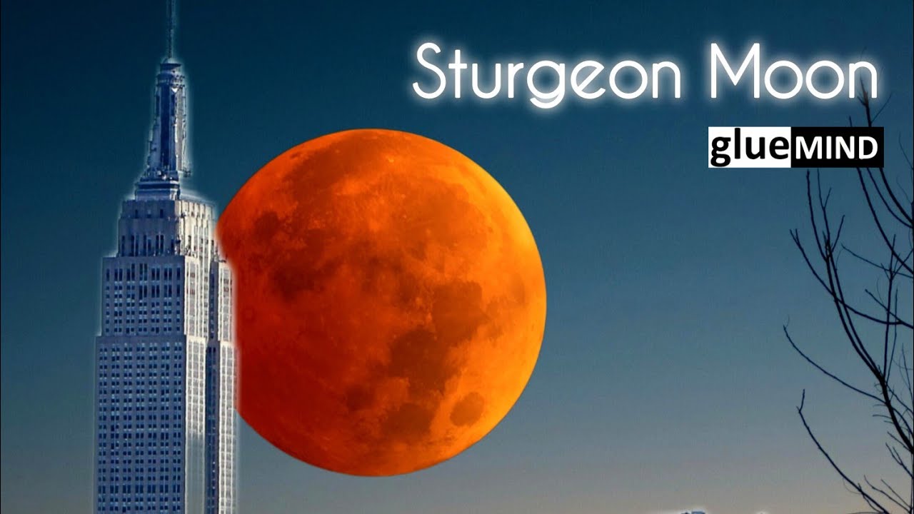 Sturgeon Moon - Gluemind
