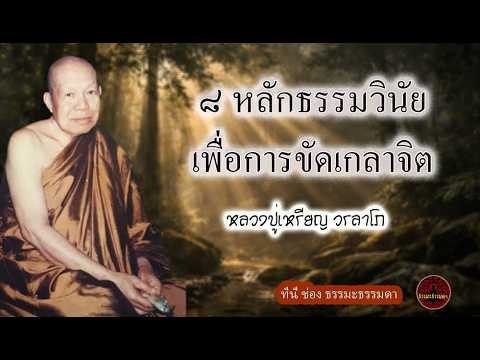 ๘ หลักธรรมวินัยเพื่อการขัดเกลาจิต เสียงเทศน์  หลวงปู่เหรียญ วรลาโภ (ไม่มีโฆษณาแทรก)