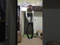 固有振動実演
