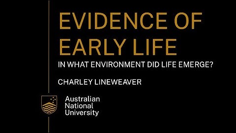 In what environment did life emerge? A video for year 11 and 12 Earth and Environemtnal Science