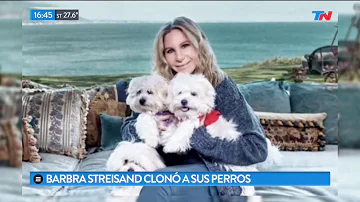 ¿De verdad Barbra Streisand clonó a un perro?