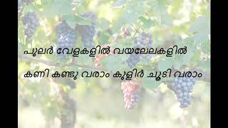 pavizham pol, Namukku Paarkkaan Munthirithoppukal (1986), yesudas, with lyrics, in hq