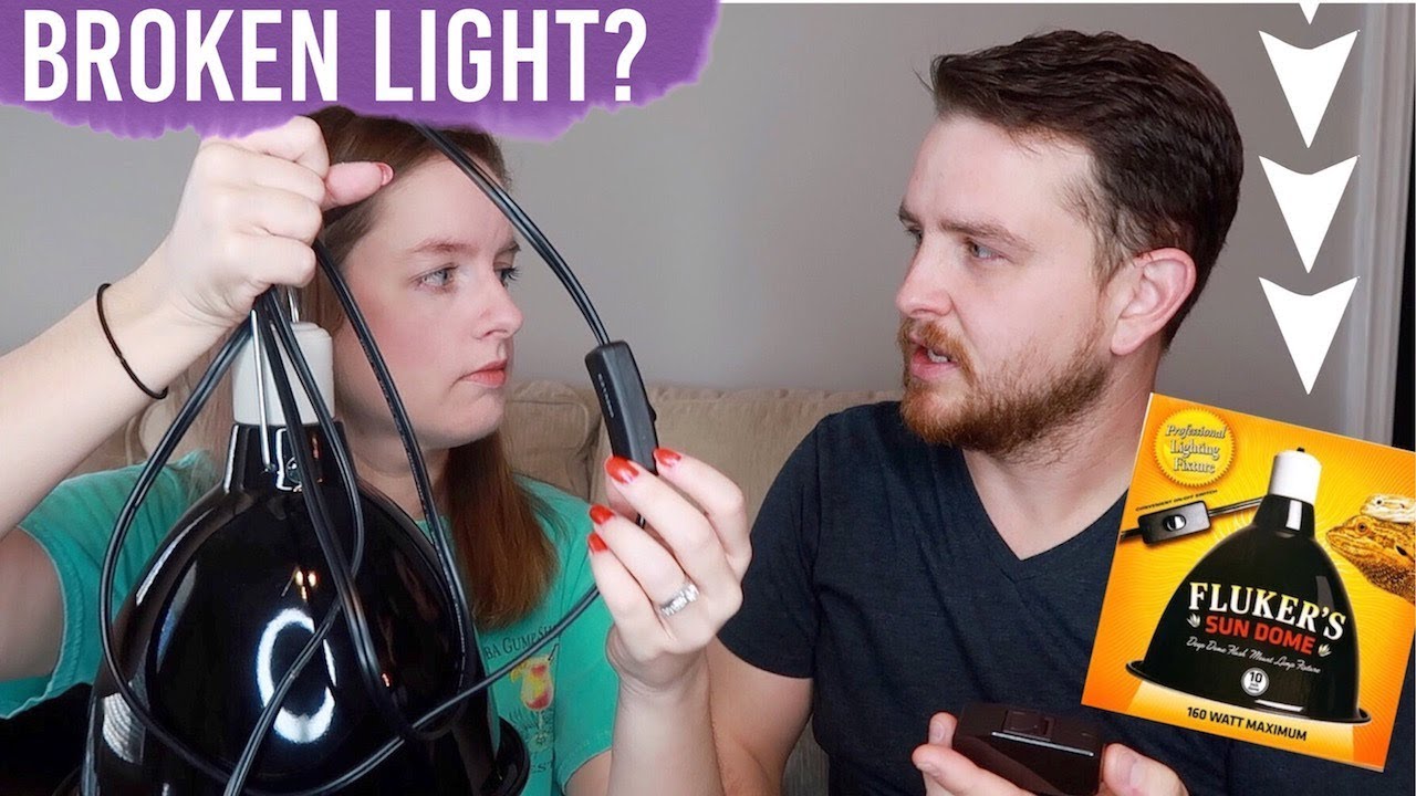petco hours How To Fix Broken Reptile Dome Light Fixture Switch