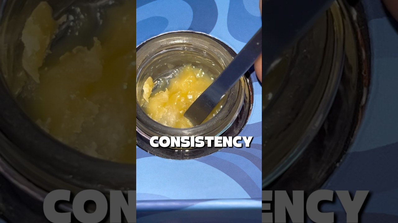 SHM "Hash Burger" Live Rosin Review 