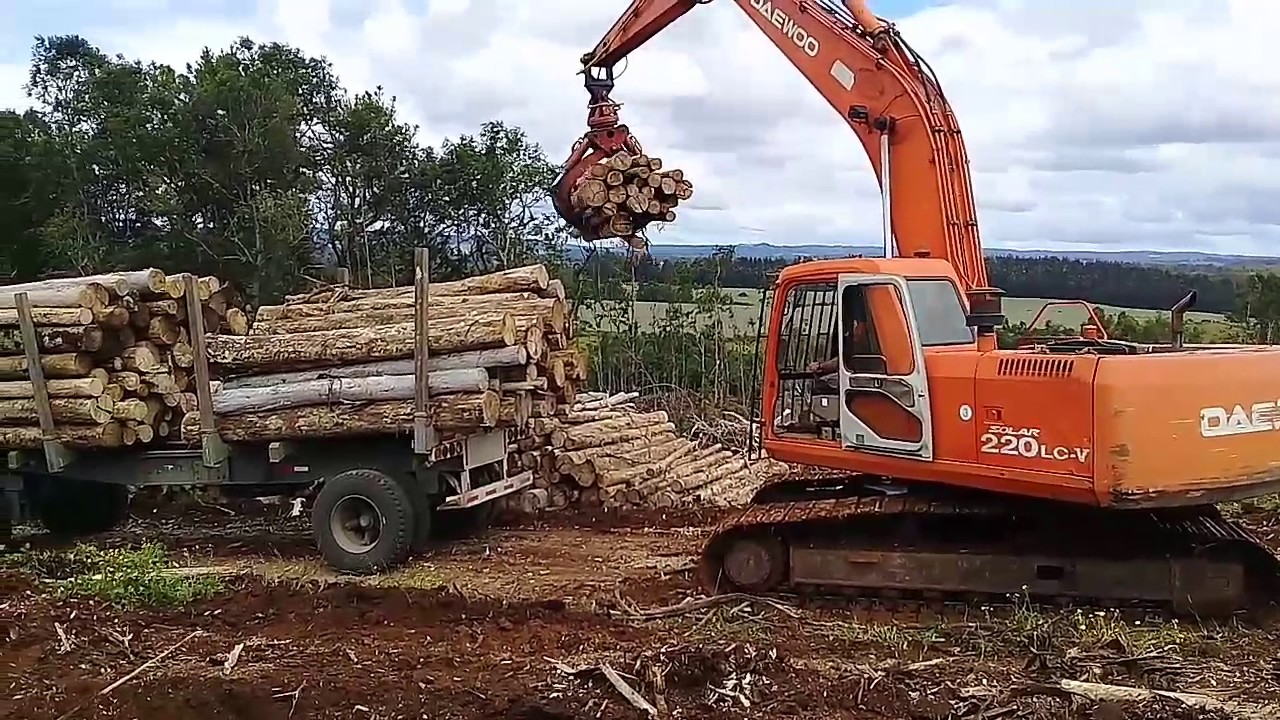 Carga de camion en forestal YouTube Carga de camion en forestal YouTube