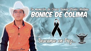 EN HONOR AL &quot;BONICE DE COLIMA&quot; 🙏 UN REY DE JALISCO QUE YA TRASCENDIÓ EN EL JARIPEO (D.E.P.)