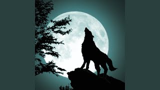 Wolf Howling at the Moon