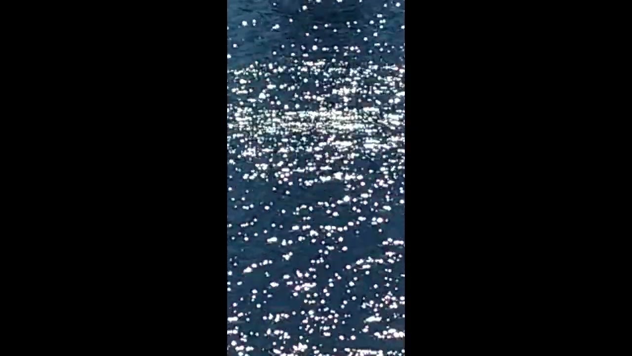 Last Train to Oblivion