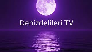Goygoycu Geldi Hanım