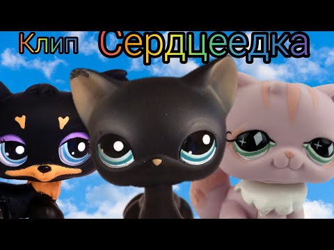 Lps клип: Сердцеедка