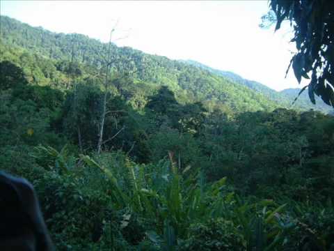 Manajah Presents : Trinidad & Tobago