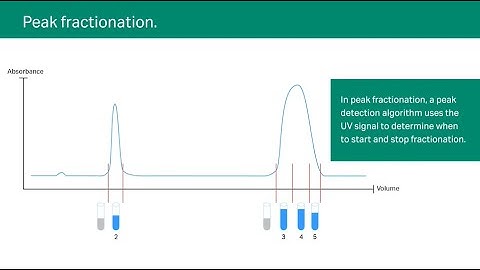 Protein fractionation types available on ÄKTA go protein purification system