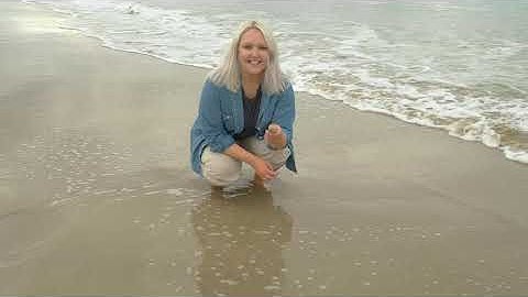 How to catch pipis for bait