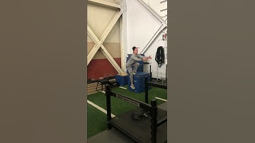 High box step up; eccentric down