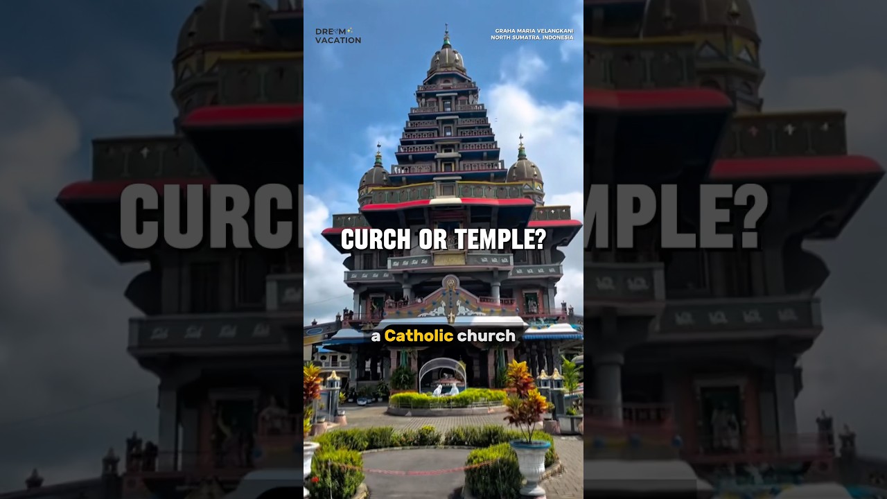 where colors meet peace 💛