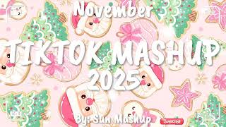Tiktok Mashup November 💖2025💖 (Not Clean)