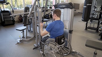 Cybex Total Access Rear Delt