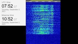 The Buzzer/UVB-76(4625Khz) September 2, 2021 07:51UTC Voice message