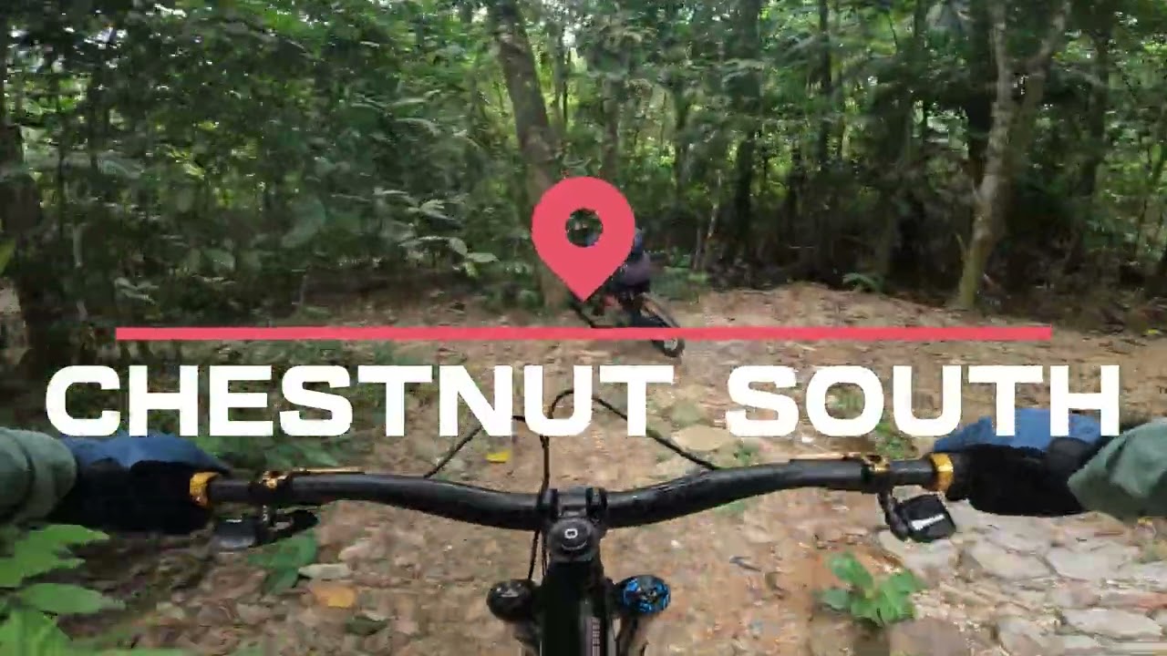 Welcome to Chestnut North from Europe to Singapore