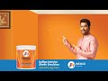 Indigo Paints Interior Silver Oriya 25 sec HD