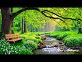 Deep Sleep Music for Stress Relief 🌿 Healing Piano ~ Calming Forest Ambience