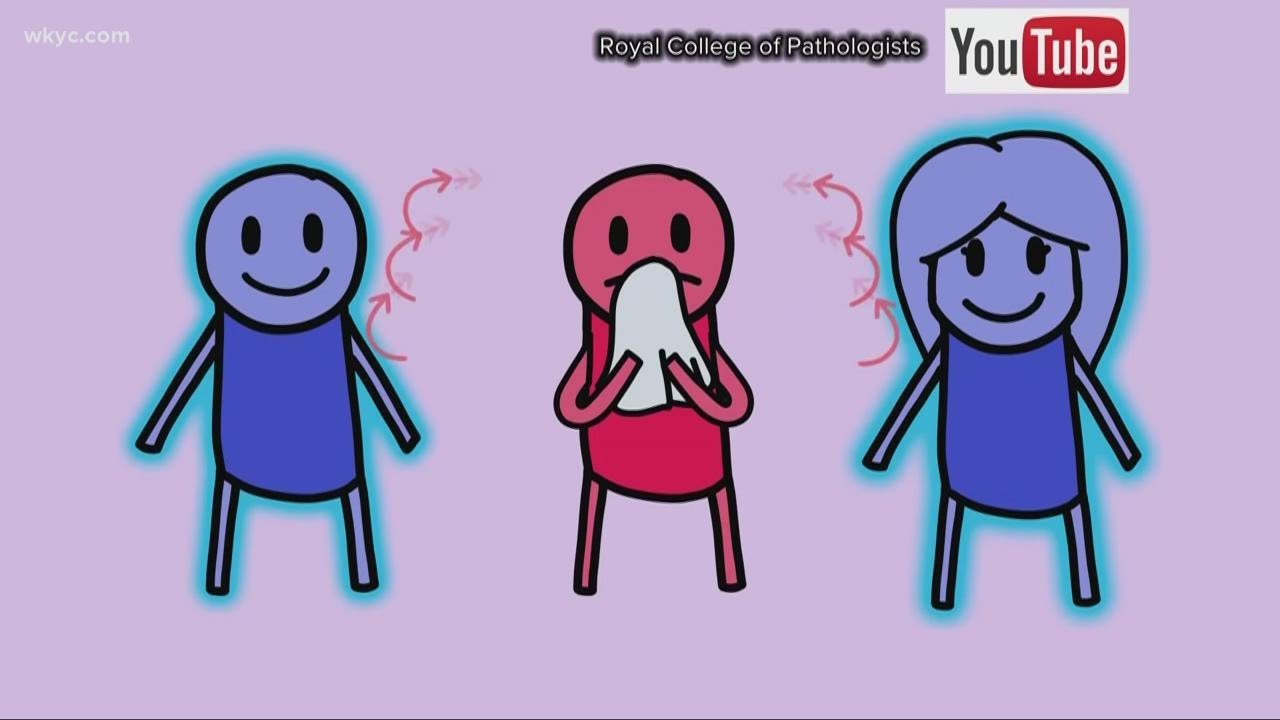 Explaining herd immunity and why scientists are debating it